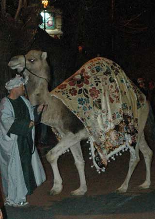 mos alatri 2007