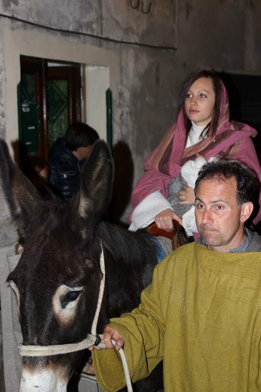 fuga in egitto 2014